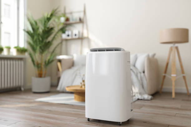 Best Furnace Cleaning in Homer Glen, IL